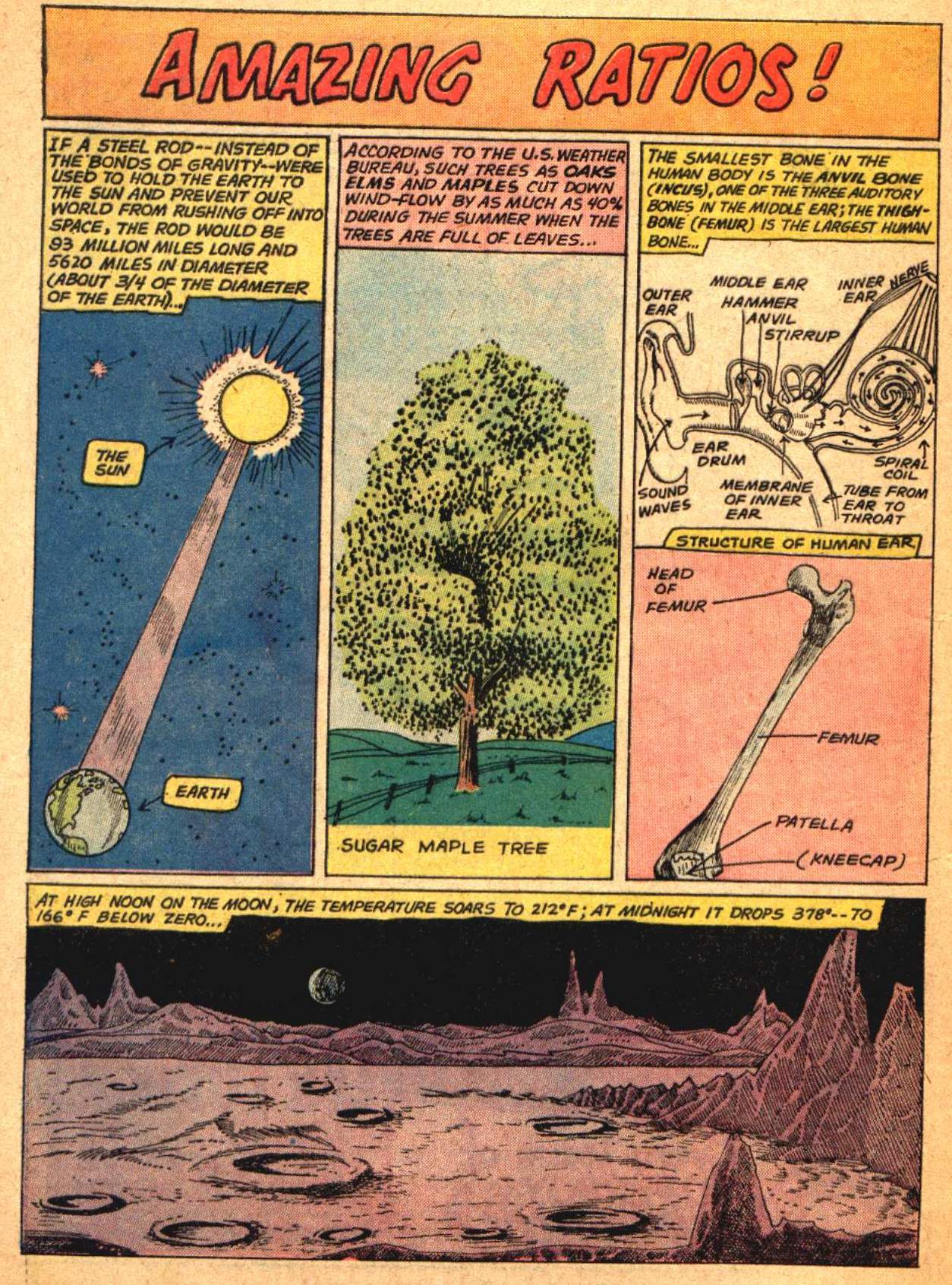 Read online Strange Adventures (1950) comic -  Issue #135 - 12