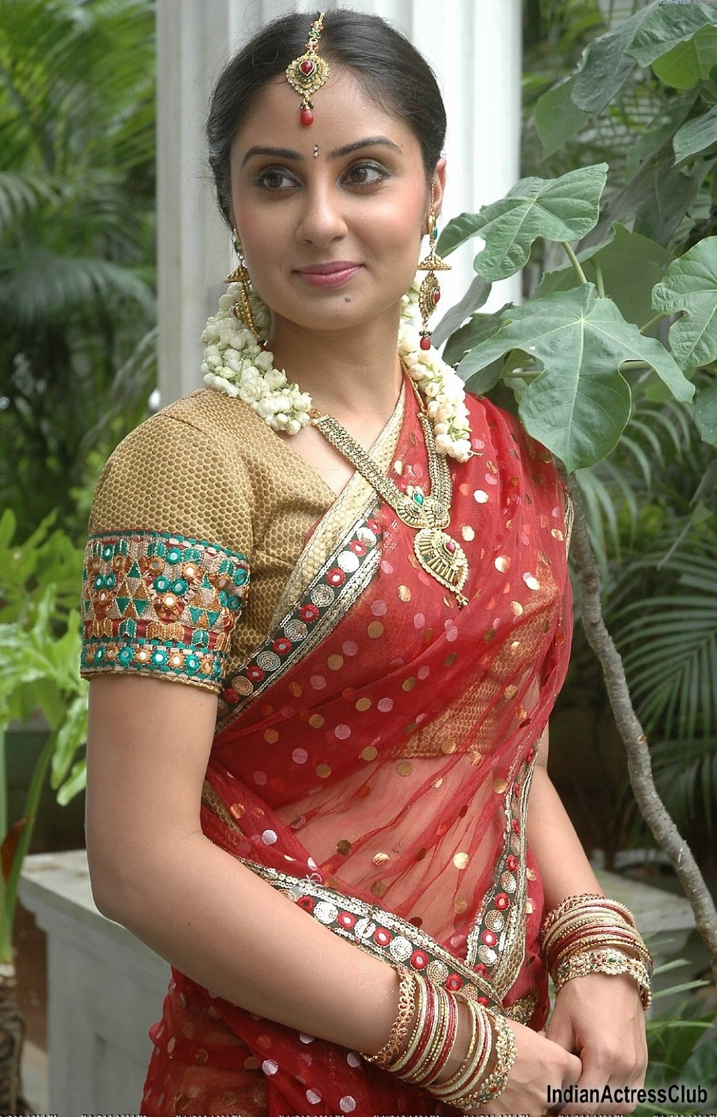 Bhanu Sri Mehra Adorned in Traditional Saree in Jewelery - Indian
