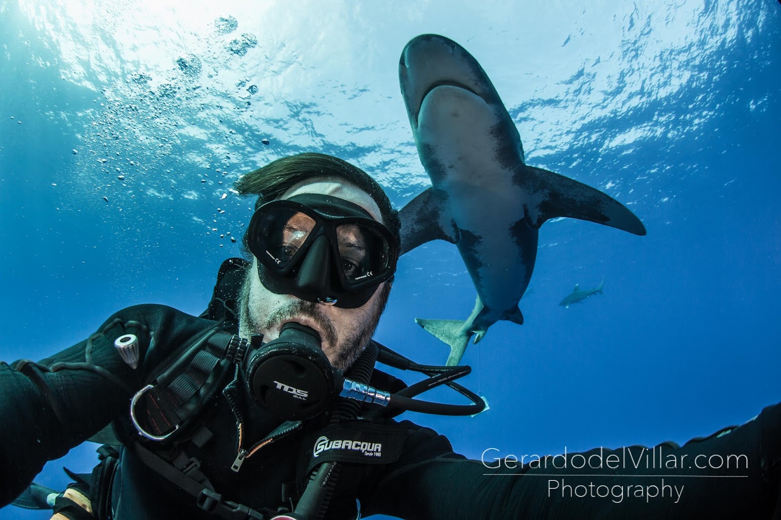 аквалангисты достигают. погружение в байкал. подводное плавание с аквалангом. аквалангист. дайвинг в юар дурбан.