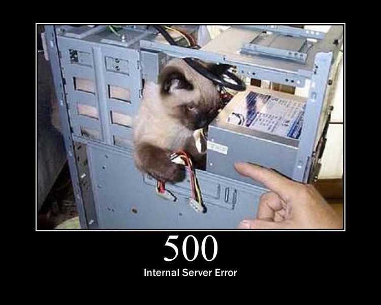 dhcphost 500 internal server error