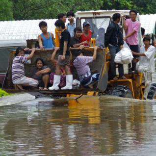 Samui update, more pictures