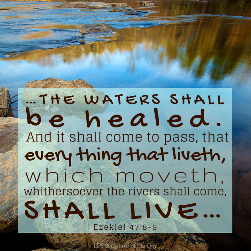 LDS Scripture Of The Day Ezekiel 47 8 9 lds-scripture-of-the-day-ezekiel-47-8-9