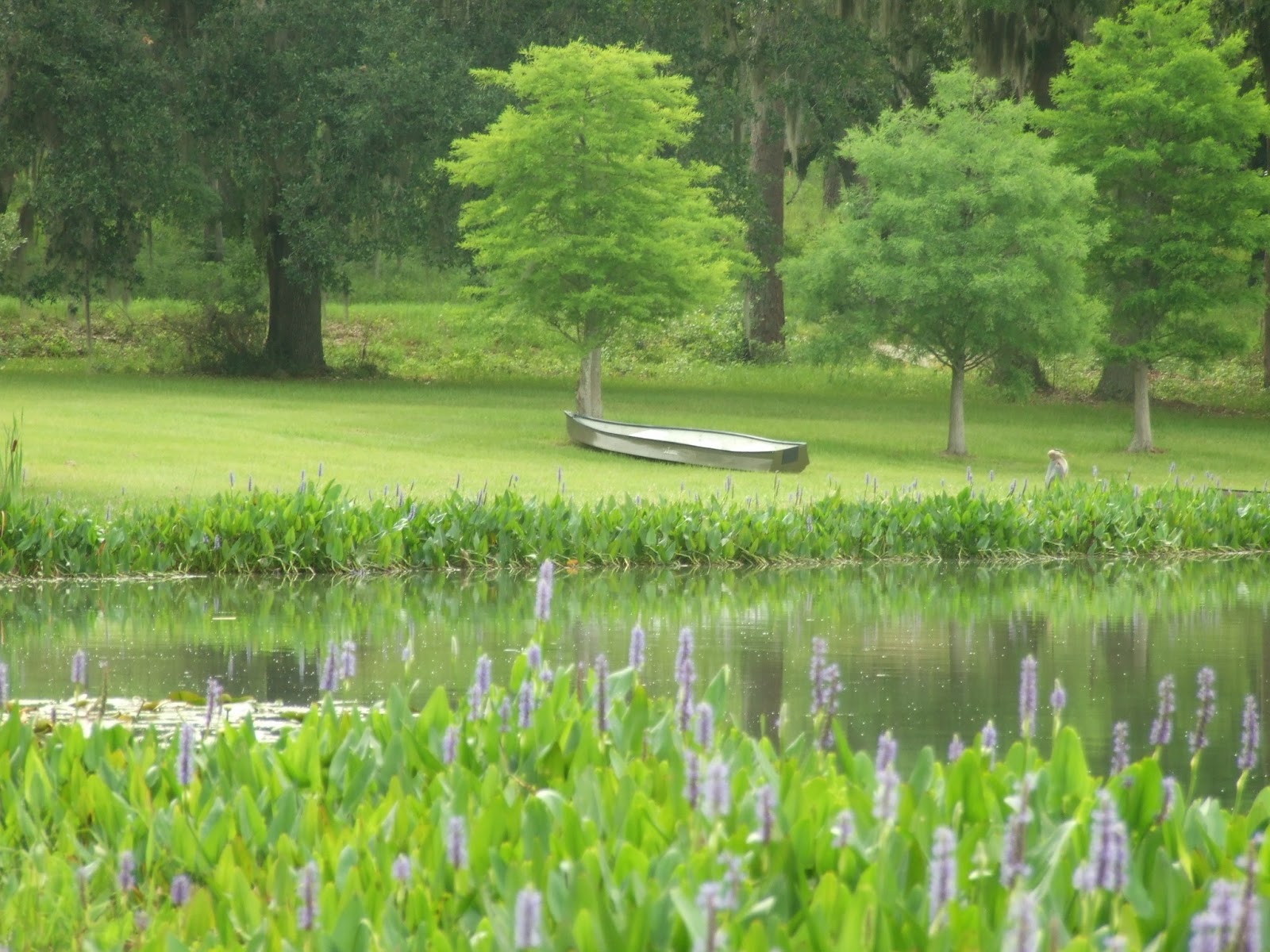 reKindle Photography Love at Centerville Conservation Community