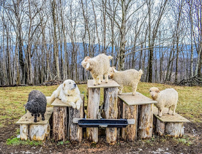 alt="perro con su familia formada por ovejas y cabras"