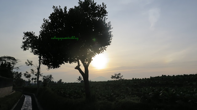 situsgondosuli_rahayupawitri_parakan_temanggung