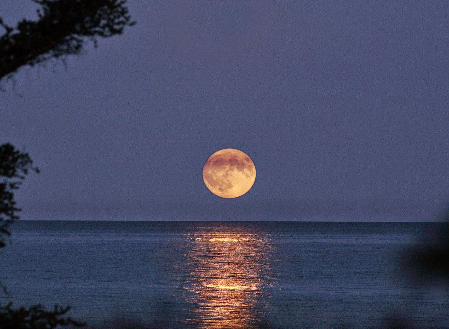 La Casa Rosa Harvest moon, la Luna del raccolto. La Casa Rosa Harvest moon, la Luna del raccolto.