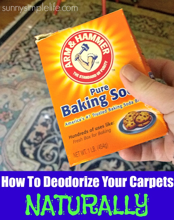 Sunny Simple Life How To Deodorize Carpet Naturally