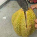 Hati-Hati Saat Beli Durian..!! Lihat Apa Yang Terjadi..?