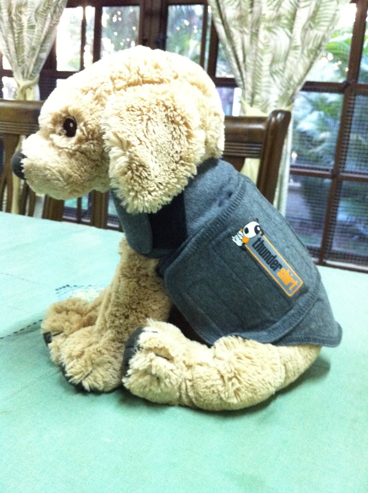Thunderdogs Malaysia THE THUNDERSHIRT? WHAT IS IT FOR? AND HOW DOES IT