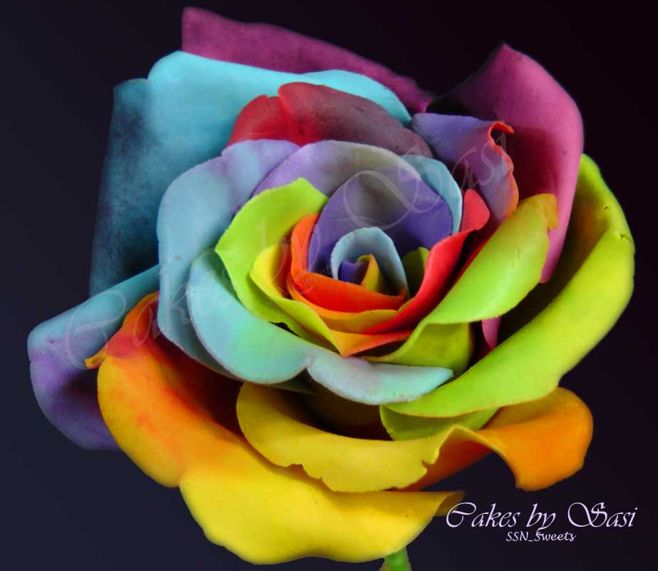 My creations so far...: My Rainbow Rose Collection