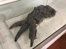 Foto Sylvia Leite - Matéria Pedra do Ingá - BLOG LUGARES DE MEMÓRIA