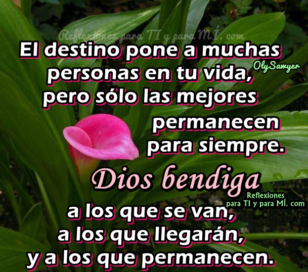 Ver las imágenes de origen