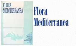 Flora Mediterranea