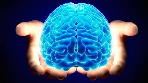 Fun Time #9 : Mengenal Otak Manusia