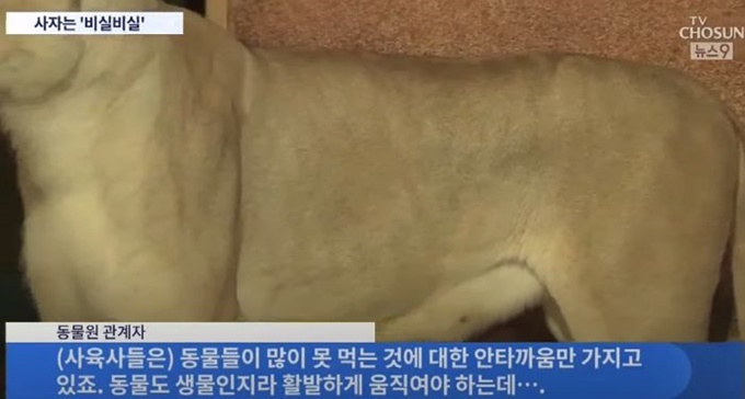 이미지에 대체텍스트 속성이 없습니다; 파일명은 d812qvqp551j59g478pi.jpg 입니다.