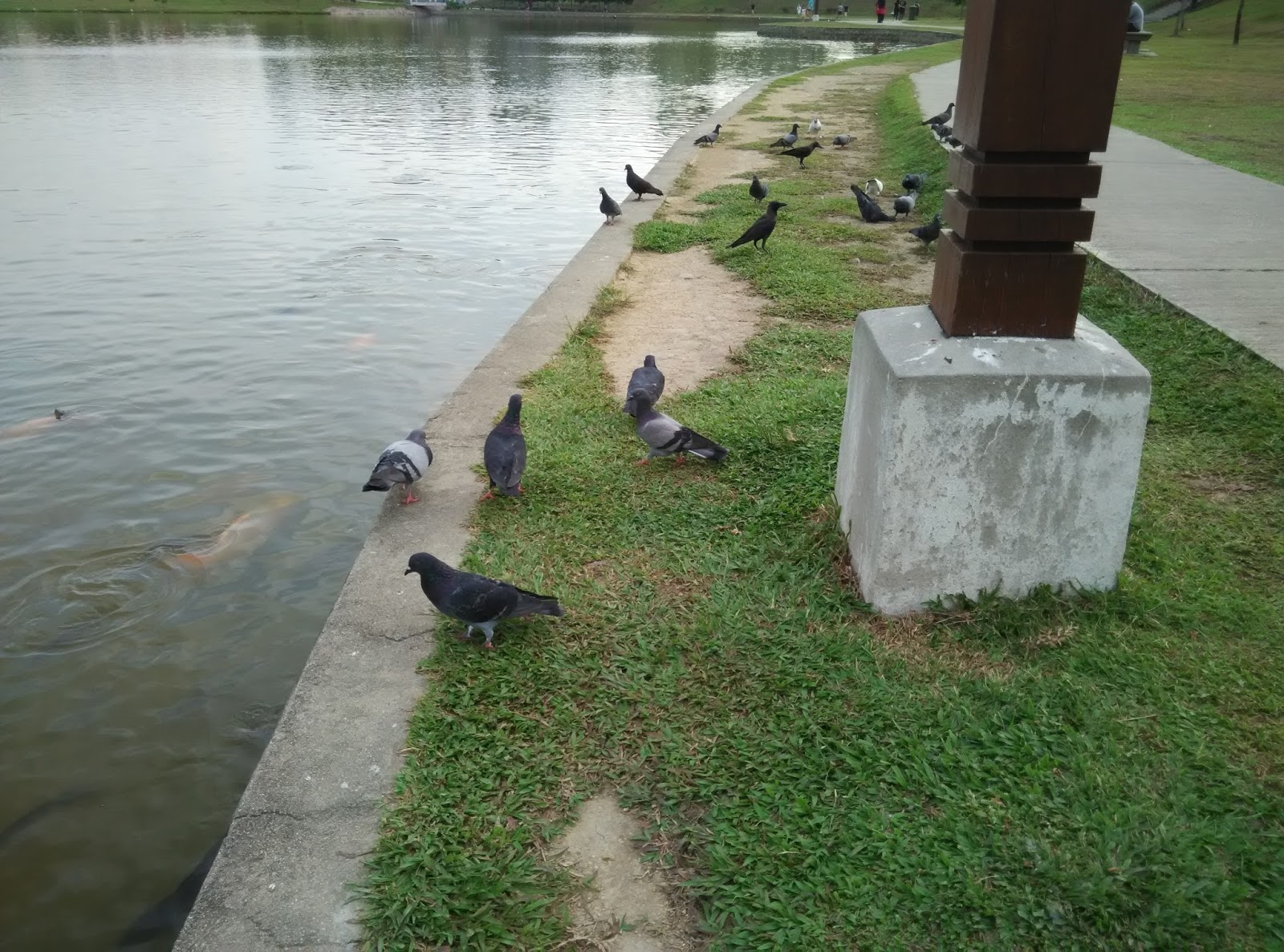 Taman Tasik Bandar Tun Hussein Onn Tempat Riadah Di Cheras Mobile