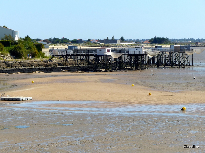 Frans Bonhomme St Gilles Croix De Vie