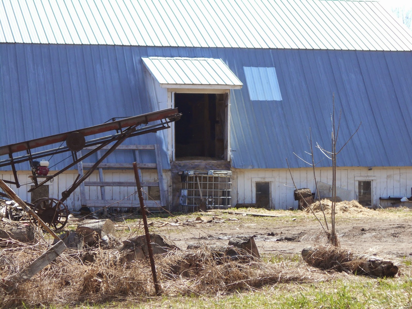 New York State of Mind OLD ORDER MENNONITE SAW MILL