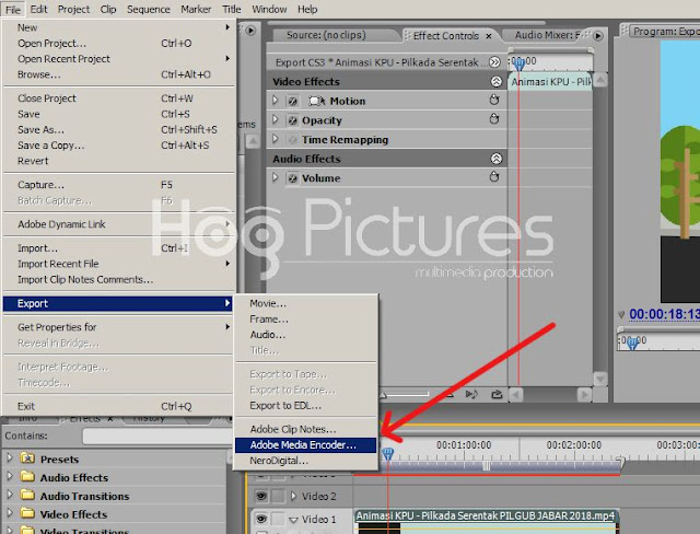 Export Video di Adobe Premiere Pro CS3 dengan Adobe Media Encoder 2 - Hog Pictures Tutorial