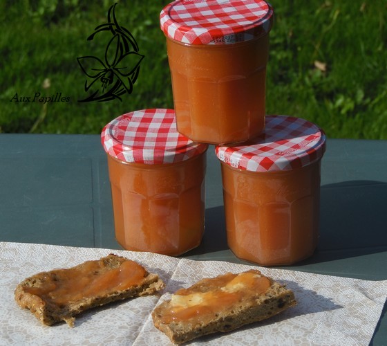 Aux papilles by Virginie Confiture pomme/coing