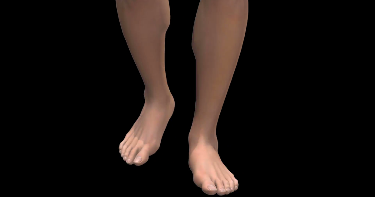 Grammar Foot vs Leg COBA BAHASA INGGRIS