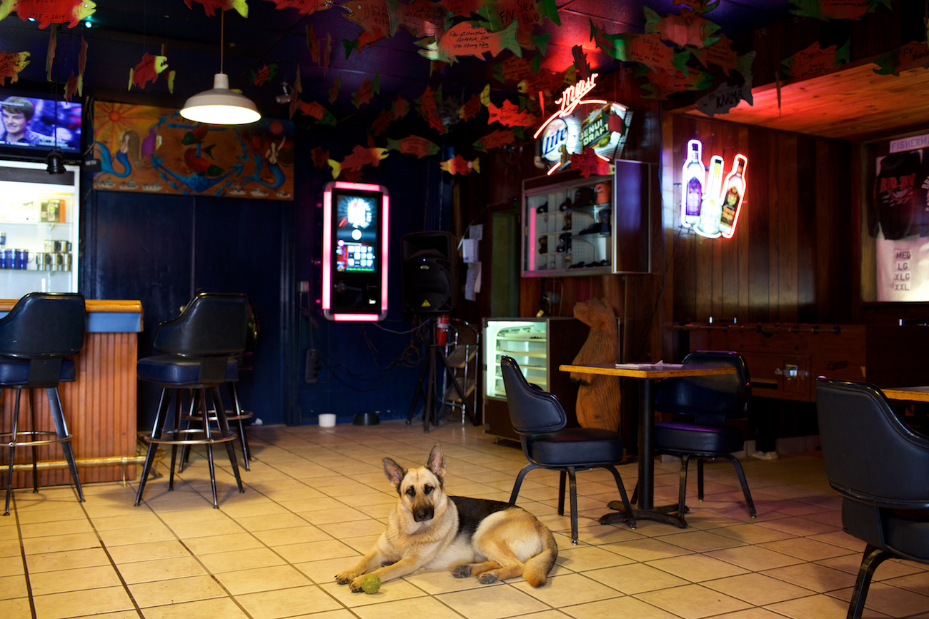 BRIAN ADAMS PHOTOGRAPHER ALASKA