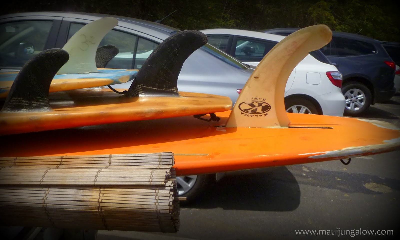 Maui Jungalow S is for Surfing