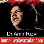 https://www.humaliwalyazadar.com/2018/09/dr-amir-rizvi-nohay-2019.html