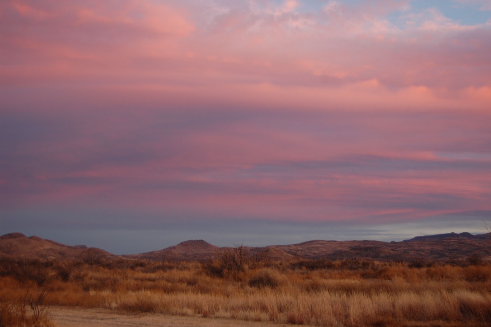 Booker Balmorhea State ParkTexas