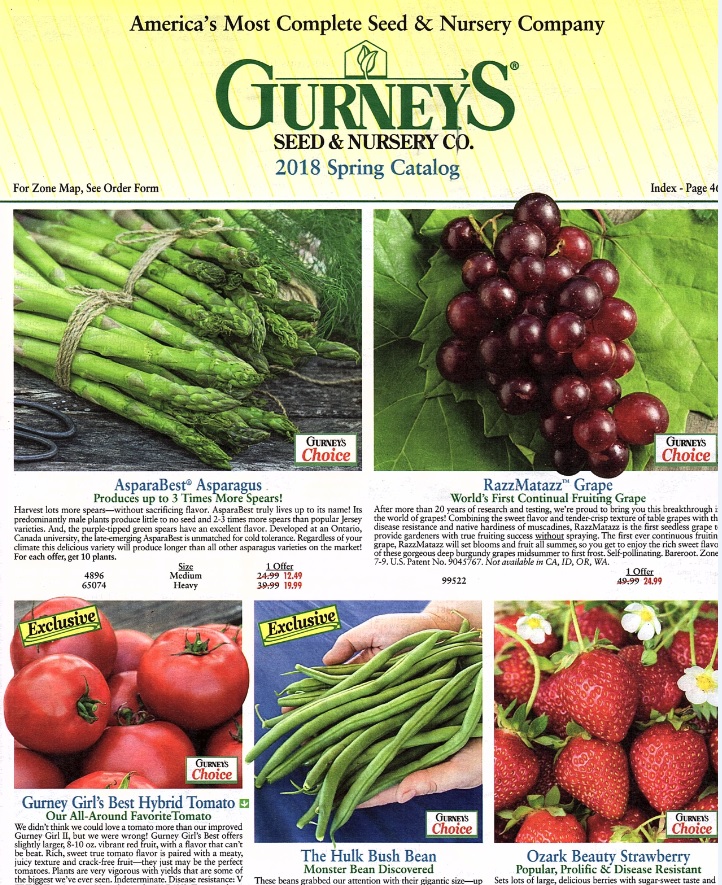 Librarian D.O.A. Garden Catalogs Early Arrivals