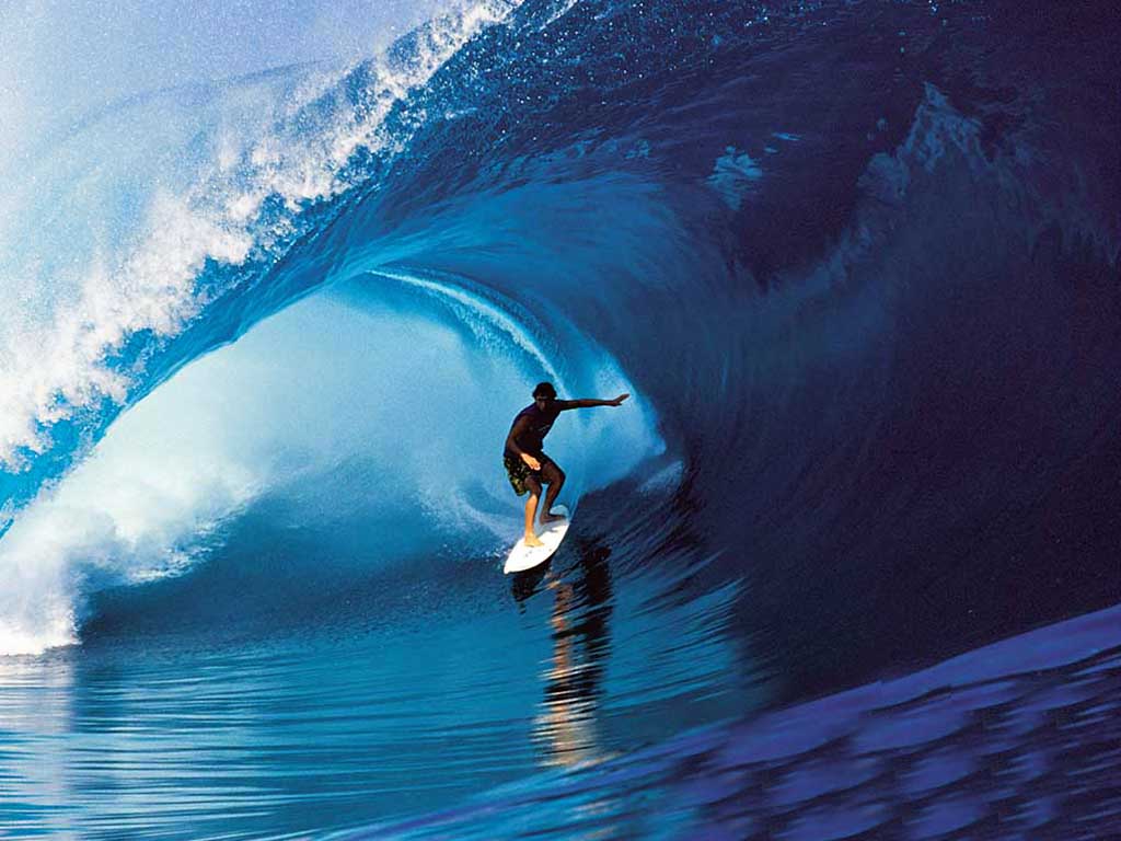 Giant wave forex