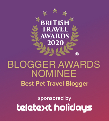 Best Pet Travel Blogger Nominee of 2020