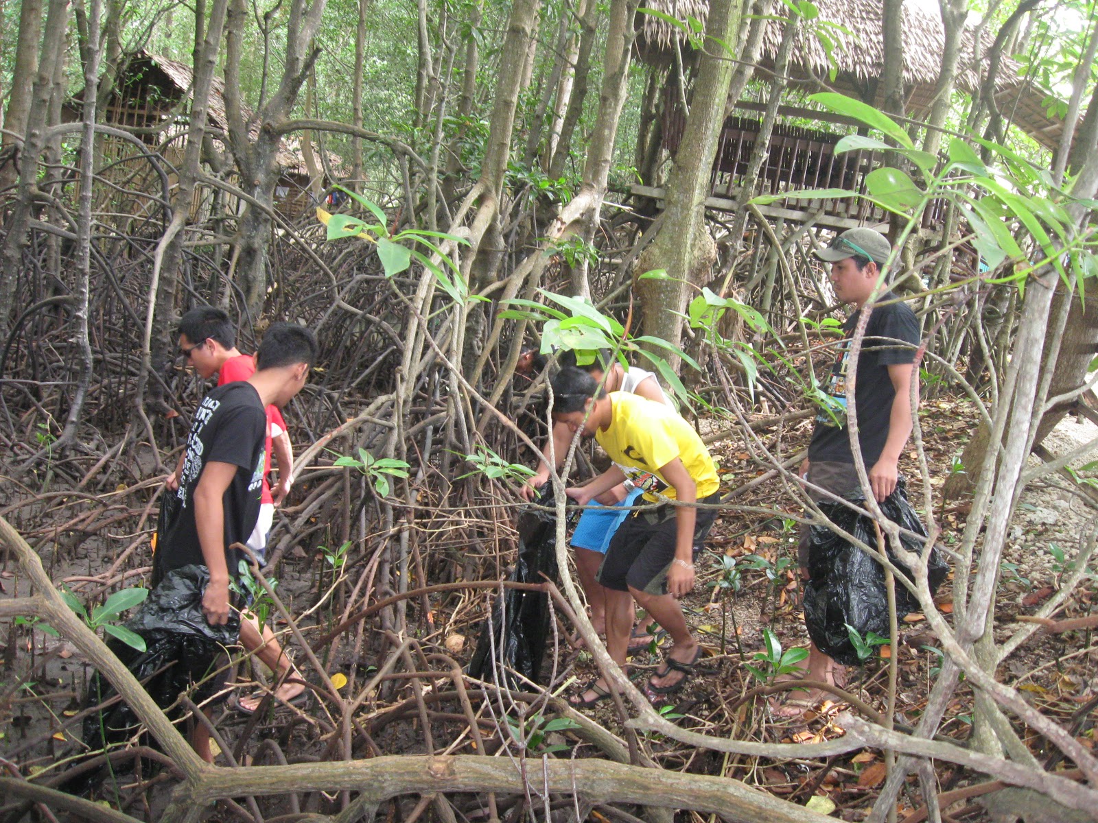 LOGSAC Mangrove Clean Up Drive at Our Paradise Resort