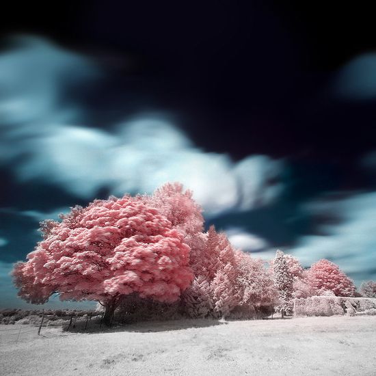 Stunning Infrared Photography summer wallpapers