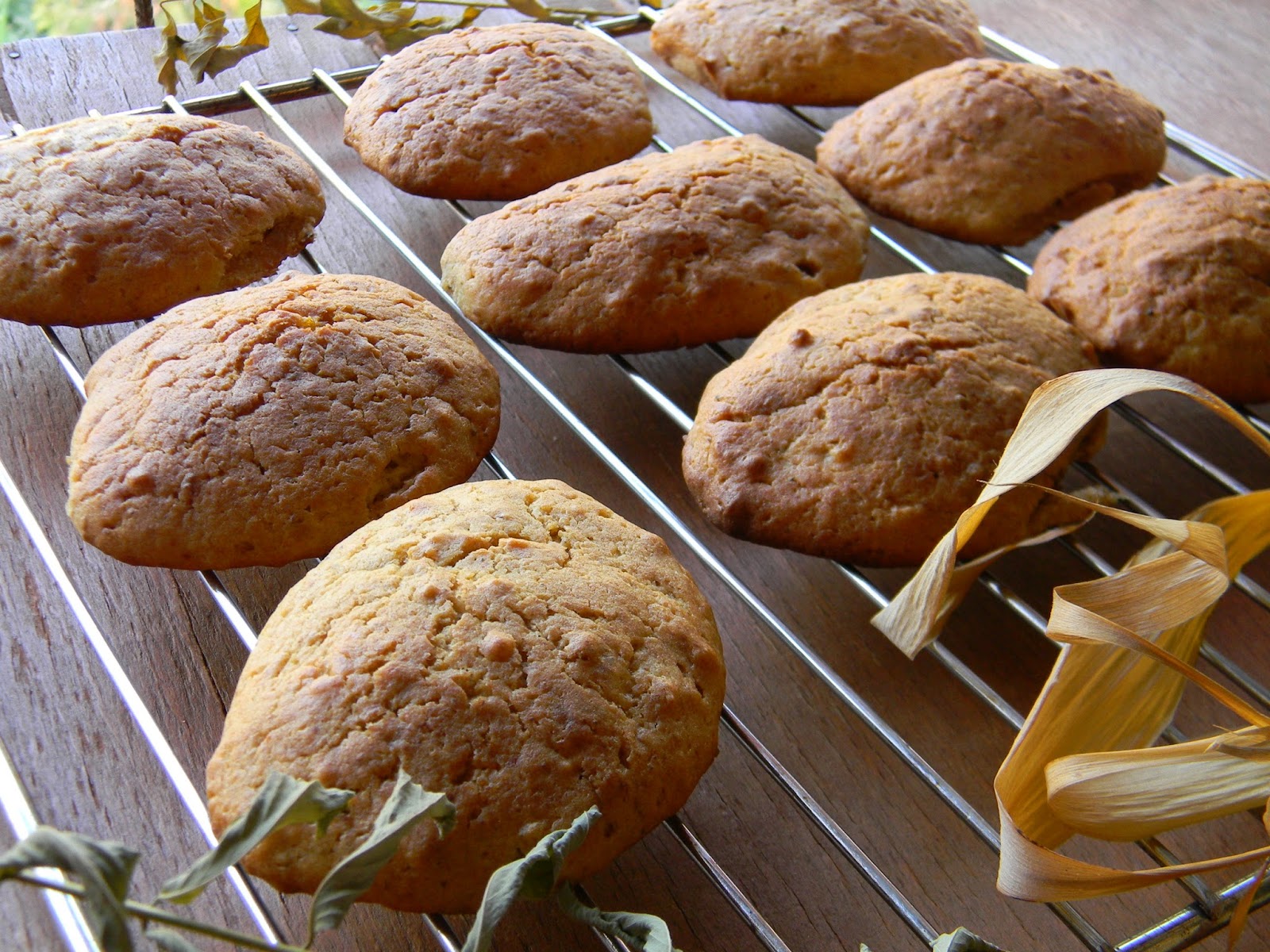 Hurmalı Cevizli Kurabiye Vişnap