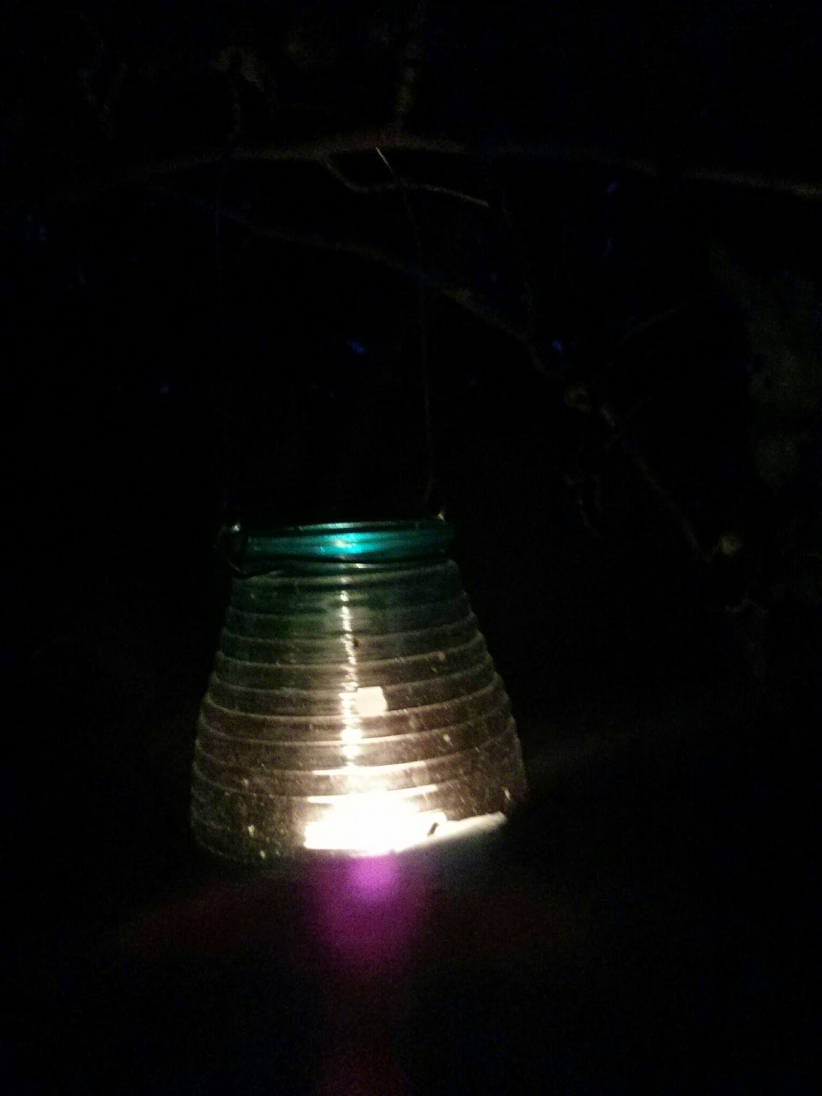 a glowing lantern in the tree