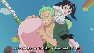 zoro x tashigi