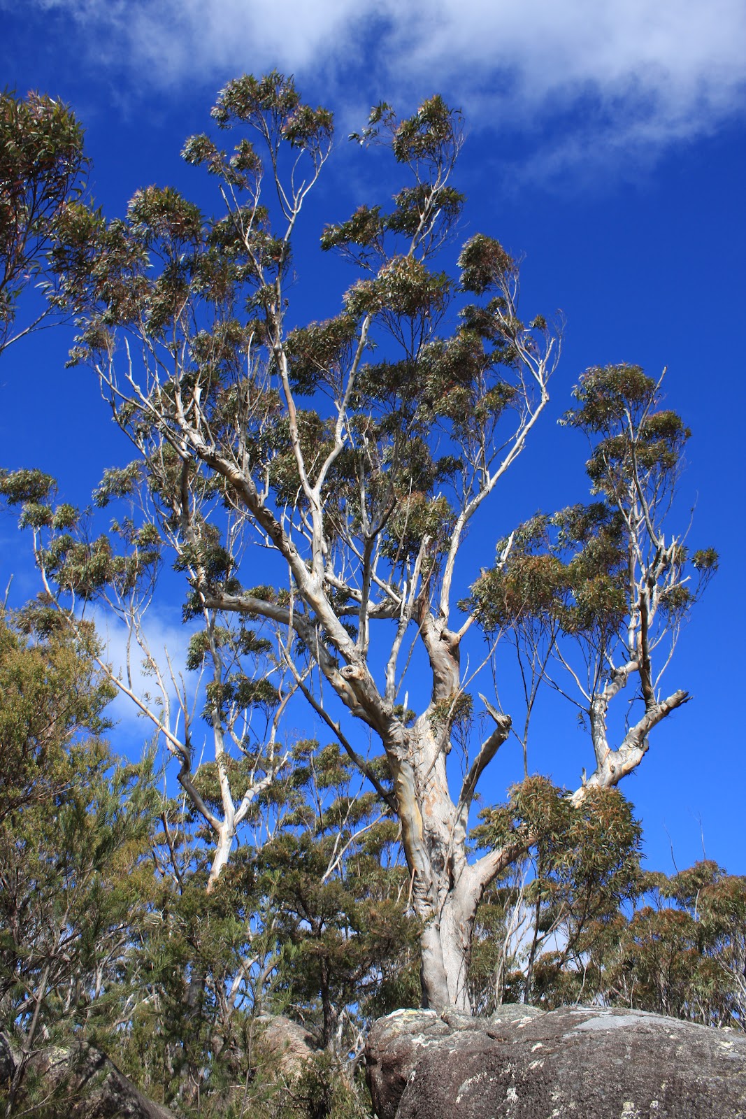 WOOLGOOLGAOFFROAD WOOLGOOLGA