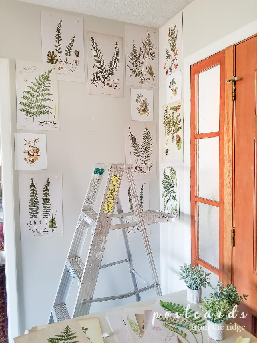 ladder and fern prints on walls