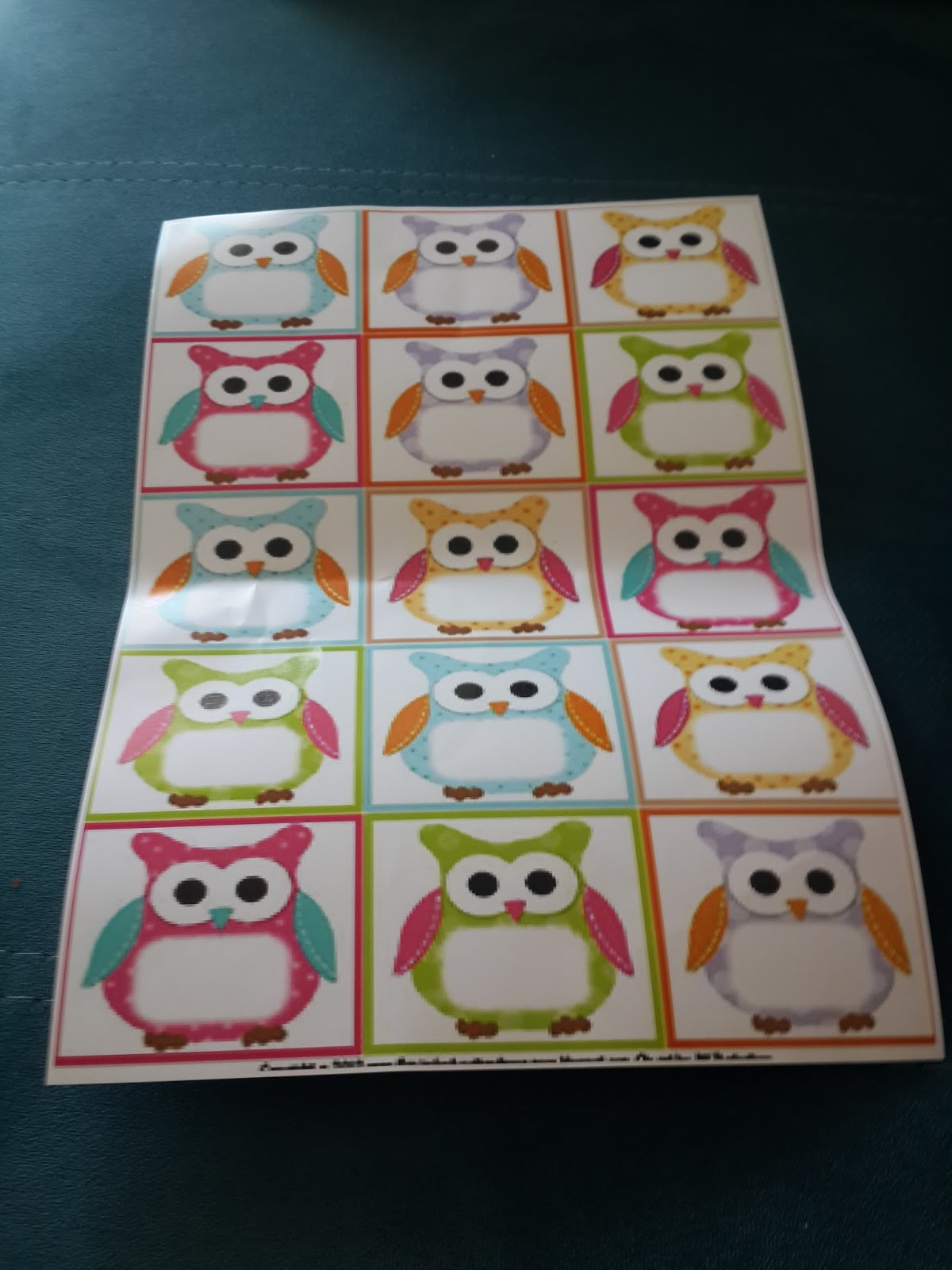 Kubra Nin Dersi Baykuslu Yaka Kartlari