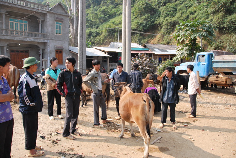 Tham quan chợ phiên Bảo Lâm ở Cao Bằng