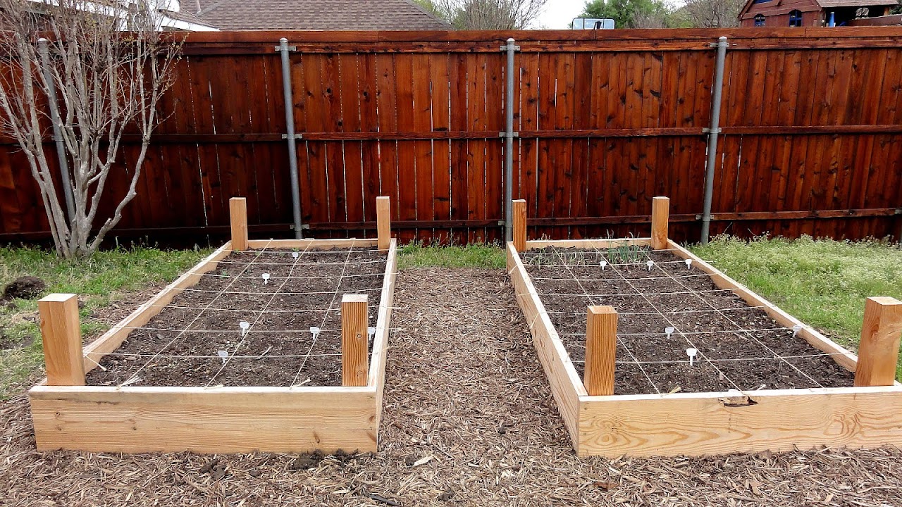 Best Vegetables To Grow In Texas Vege Choices