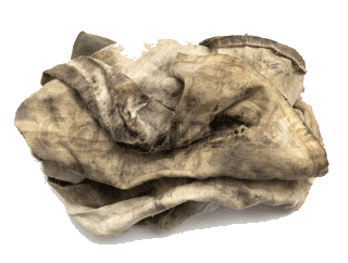 We're One more Day Closer...