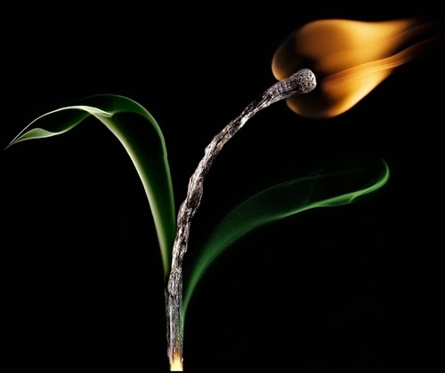 02-Match-Tulip-Flame-Russian-Photographer-Illustrator-Stanislav-Aristov-PolTergejst-www-designstack-co