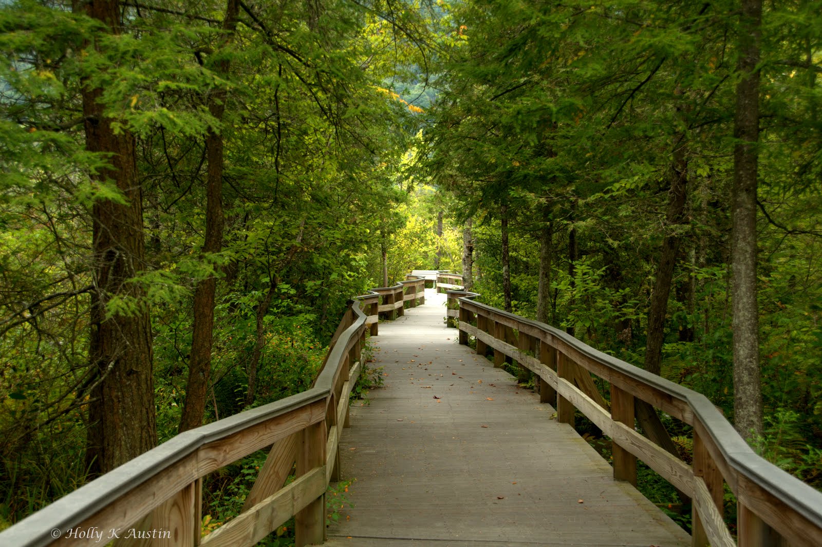 Labrador Hollow Unique Area Woodswoman Extraordinaire