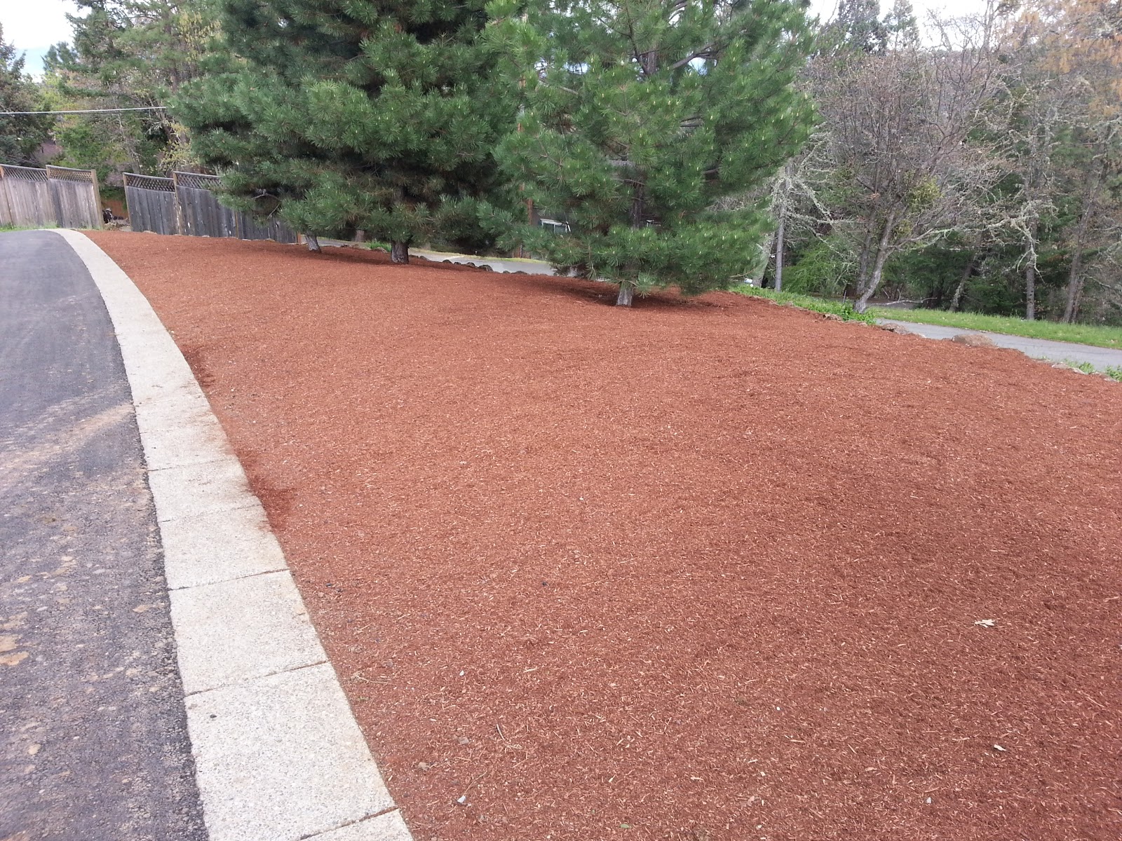 Hill Top Landscaping Barking 27 yards bark new look...