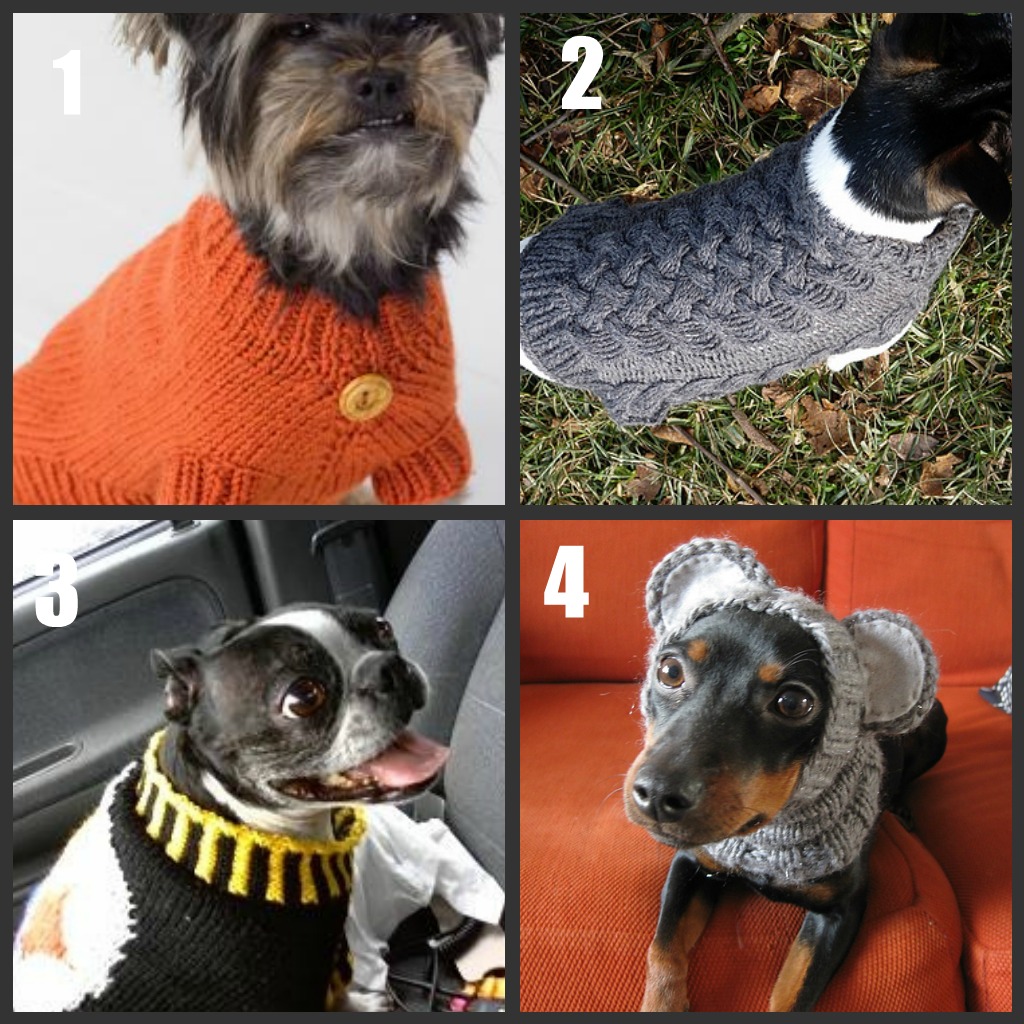 Free Knitting Pattern - Chihuahua or Small Dog Sweater from the