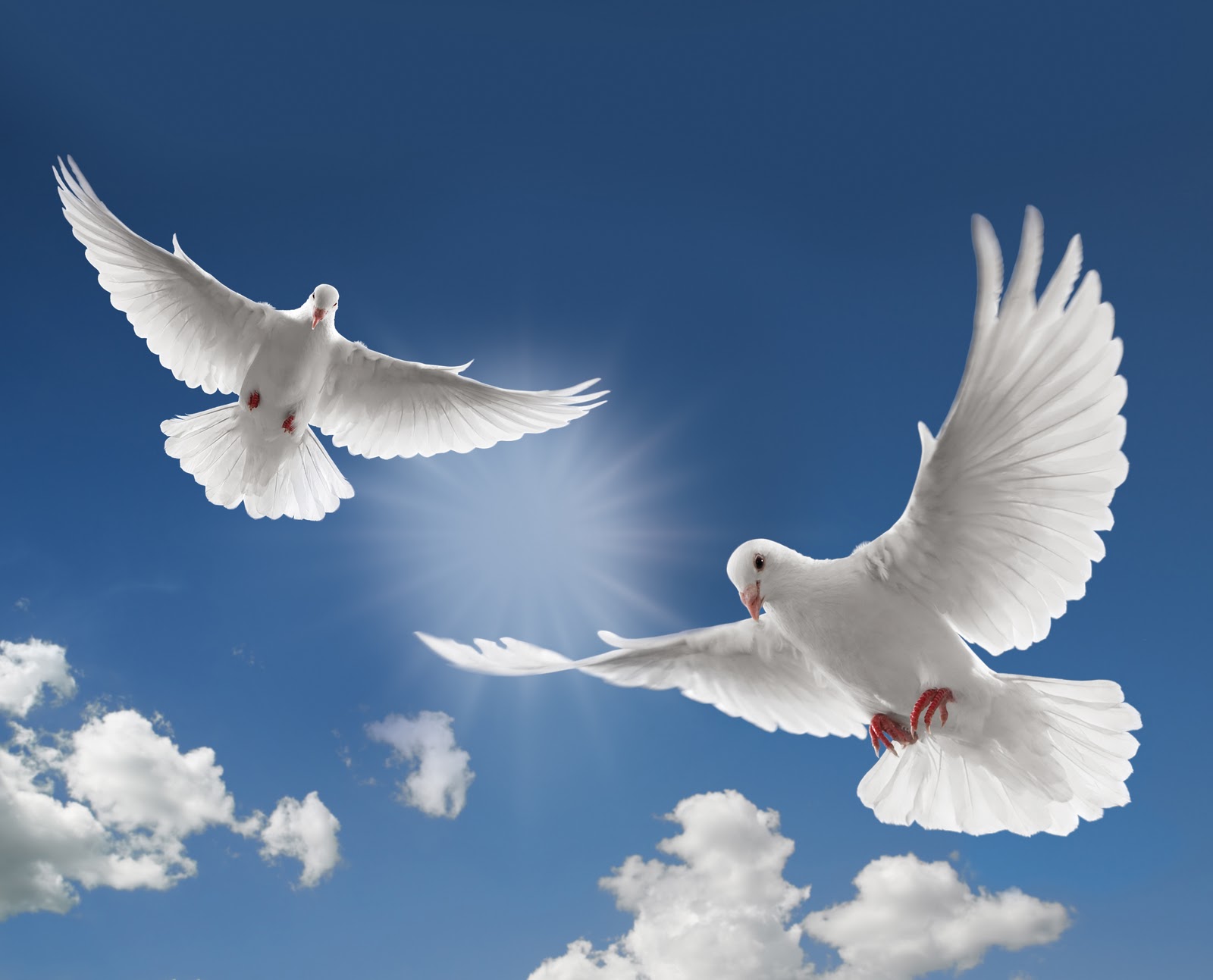 The Biblical Paradox Blog: Wayne Grudem On The Biblical Paradox Blog: Wayne Grudem On