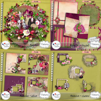 http://scrapfromfrance.fr/shop/index.php?main_page=product_info&cPath=88_91&products_id=4686
