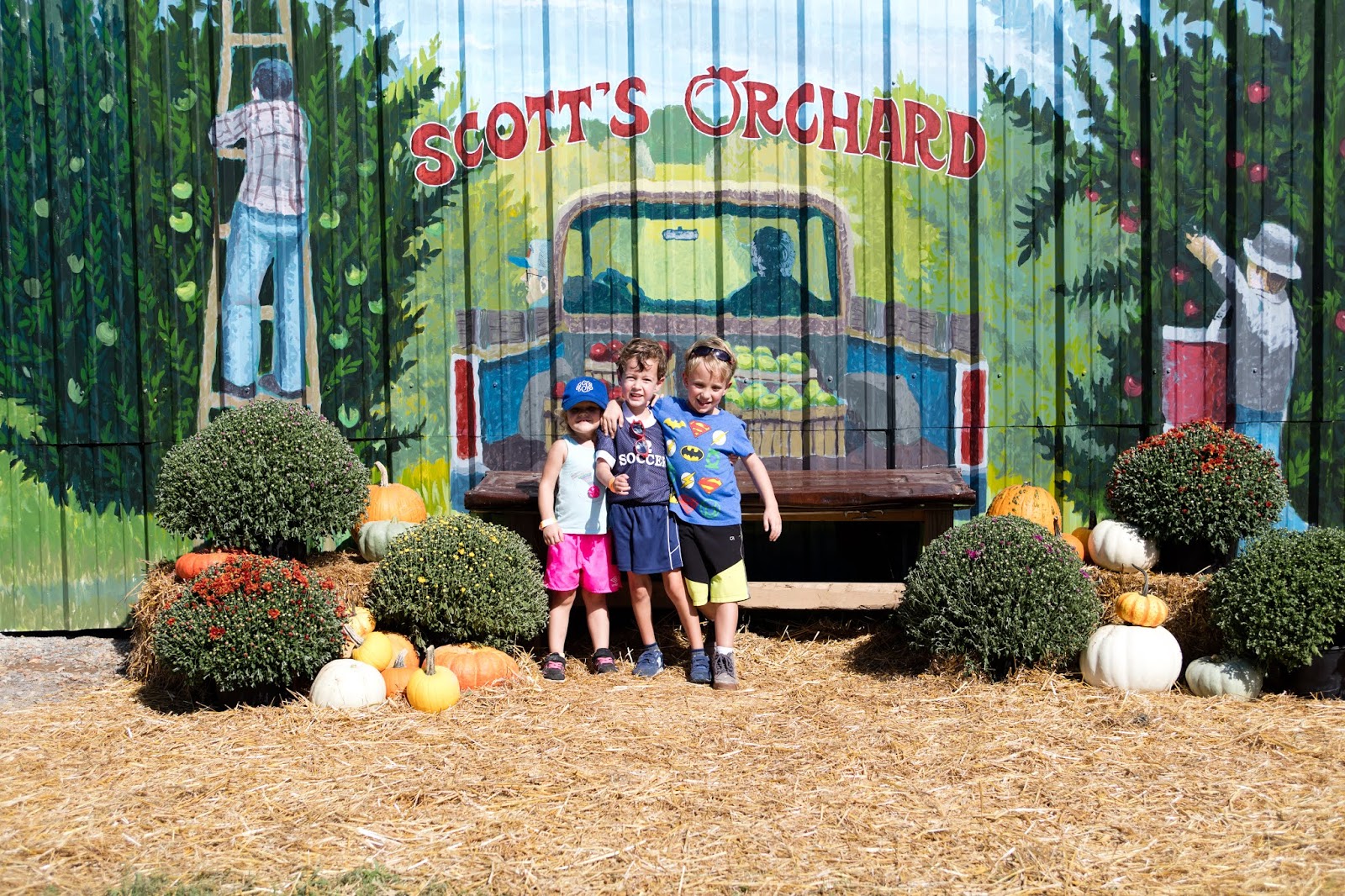 Scott's Orchard Klein dot Co